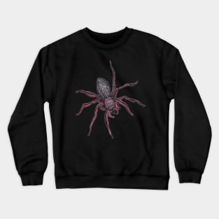 Along Came A Spider Crewneck Sweatshirt